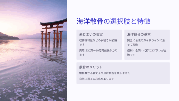 墓じまいの手続きが複雑すぎる｜海洋散骨専門家なら全て代行で安心
