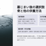 墓じまい後の遺骨はどこに？海の専門家による5つの最適解と費用比較