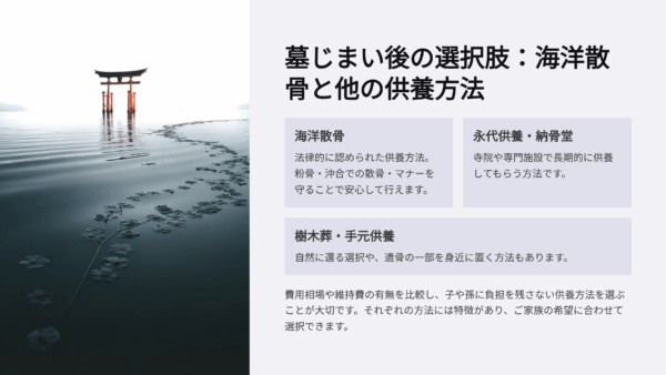 墓じまい後の遺骨はどこに？海の専門家による5つの最適解と費用比較